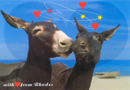 donkey with love from rhodes