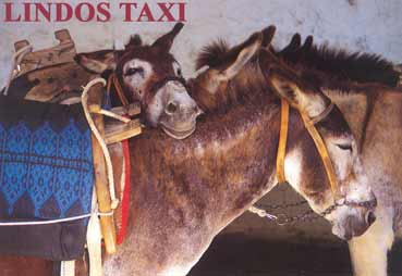 lindos taxi